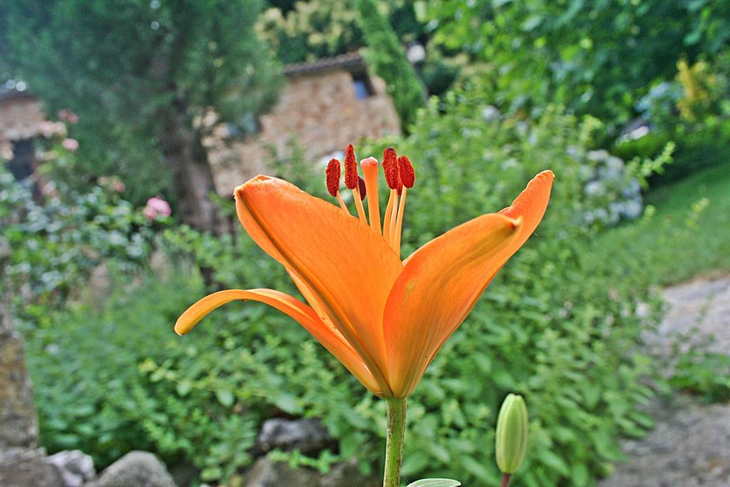Finca El Carpintero Херте Екстер'єр фото
